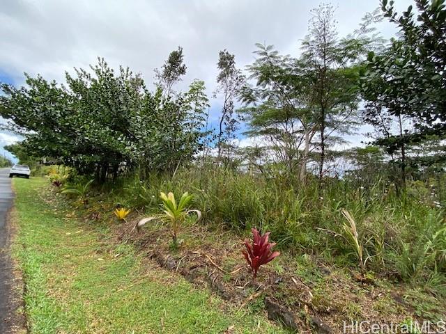 15-1675 7th Ave  Keaau, Hi vacant land for sale - photo 4 of 8