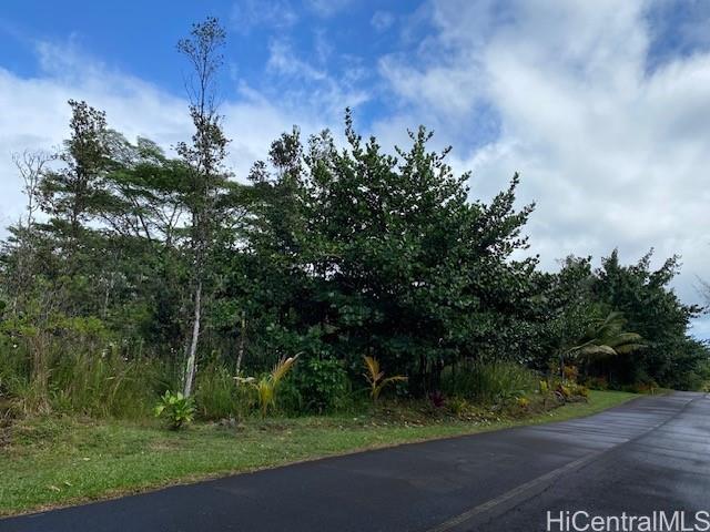 15-1675 7th Ave  Keaau, Hi vacant land for sale - photo 5 of 8