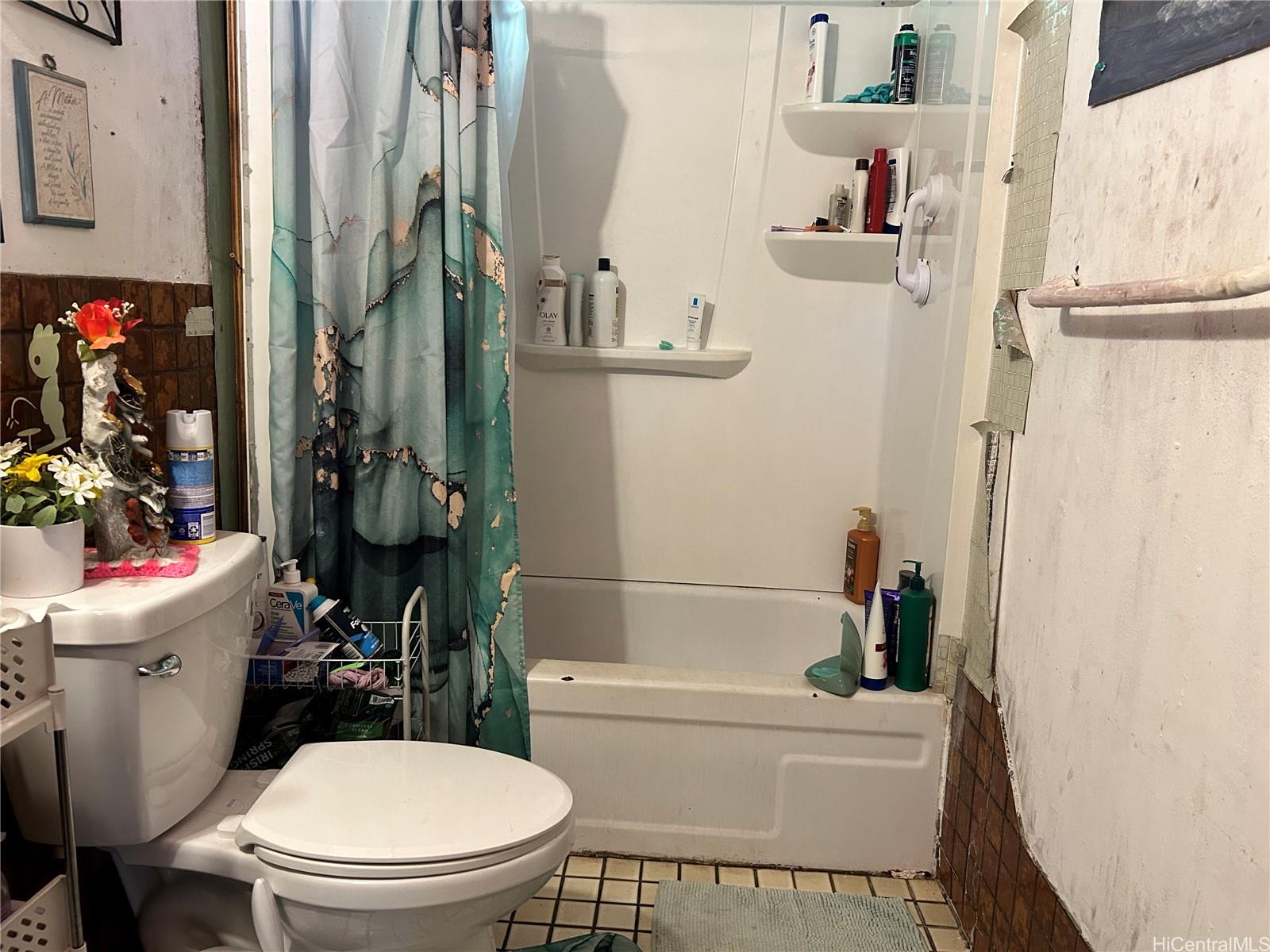 15-180  Puni Kahakai Loop Hawaiian Beaches, Puna home - photo 6 of 6