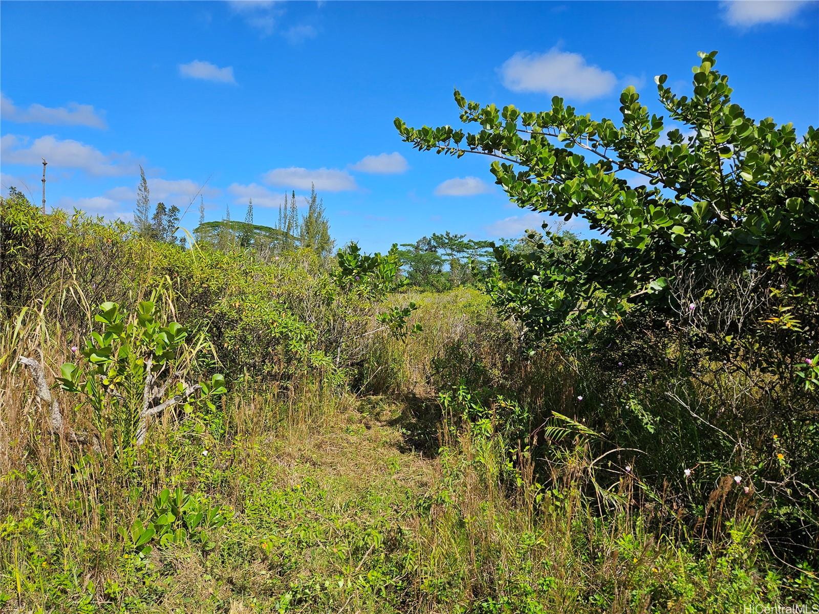 15-1867 5th Ave  Keaau, Hi vacant land for sale - photo 1 of 3