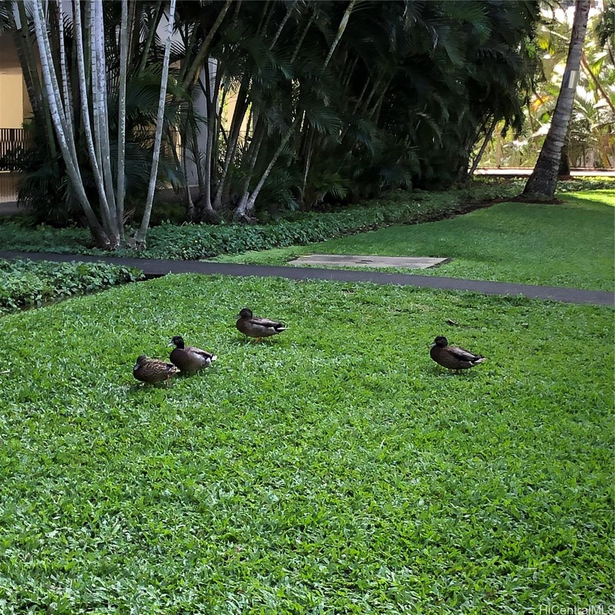 Queen Emma Gardens condo # 142, Honolulu, Hawaii - photo 20 of 25