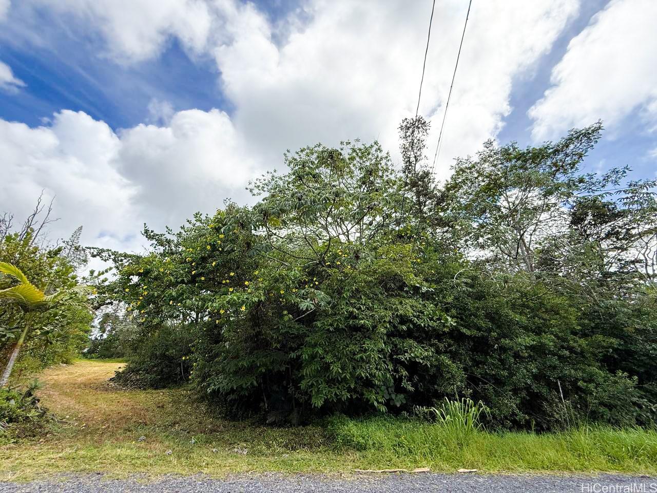 15-2038 16th Ave  Keaau, Hi vacant land for sale - photo 4 of 5