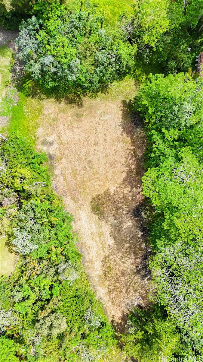 15-2038 16th Ave  Keaau, Hi vacant land for sale - photo 5 of 5