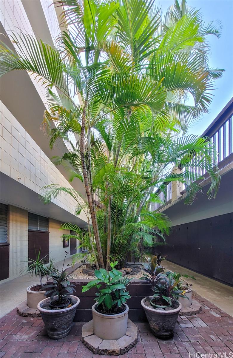 1524 Pensacola St Honolulu - Rental - photo 12 of 19