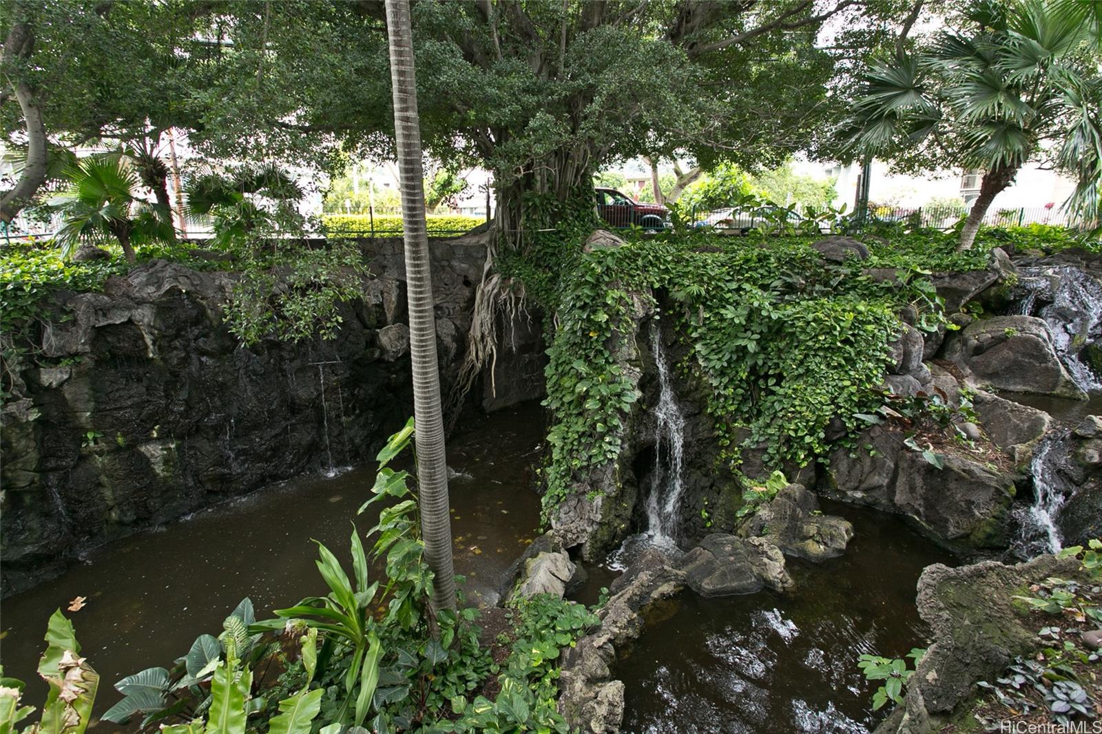 1525 Wilder Ave Honolulu - Rental - photo 2 of 19