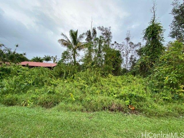 15-2799 Maikoiko Street  Pahoa, Hi vacant land for sale - photo 6 of 6