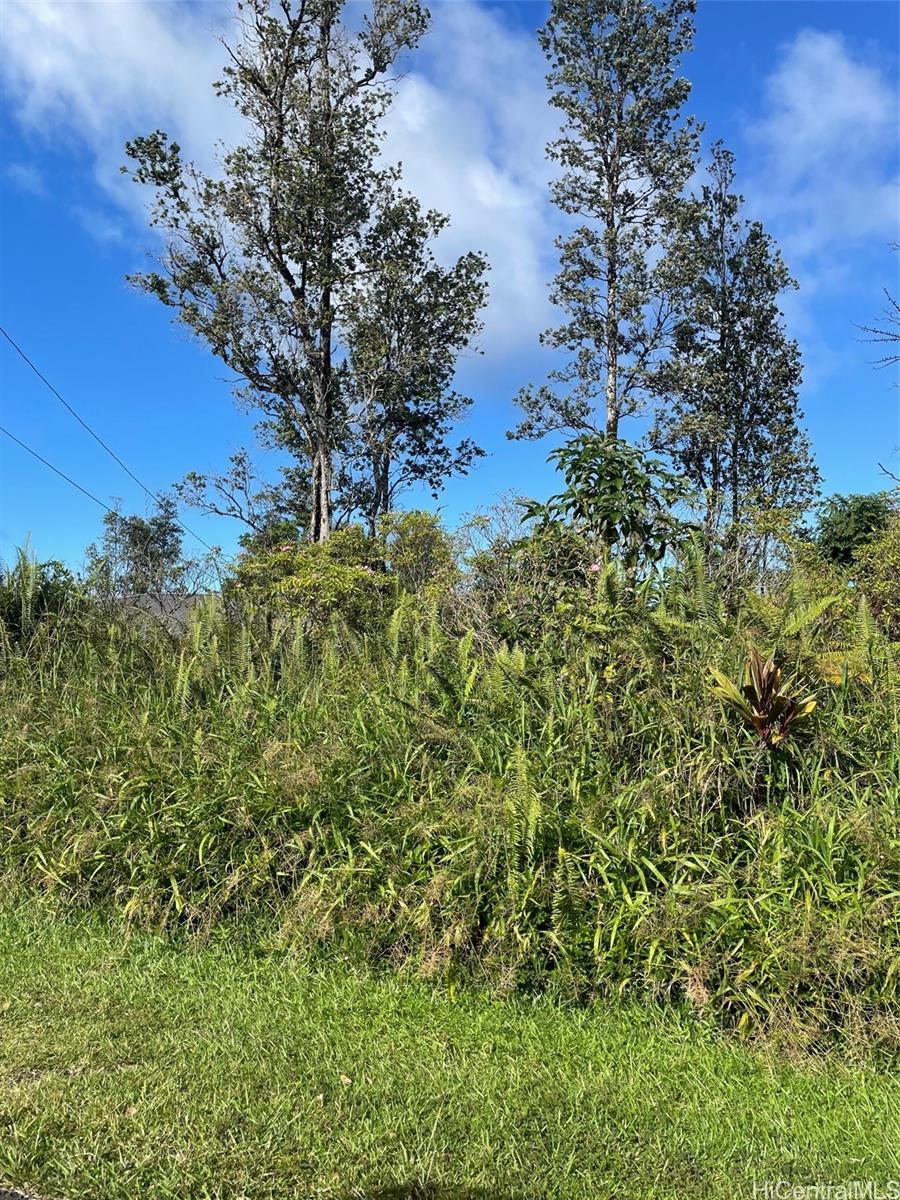 15-2811 LAI Street  Pahoa, Hi vacant land for sale - photo 3 of 4