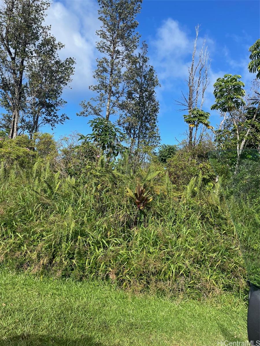 15-2811 S Lai St  Pahoa, Hi vacant land for sale - photo 4 of 4