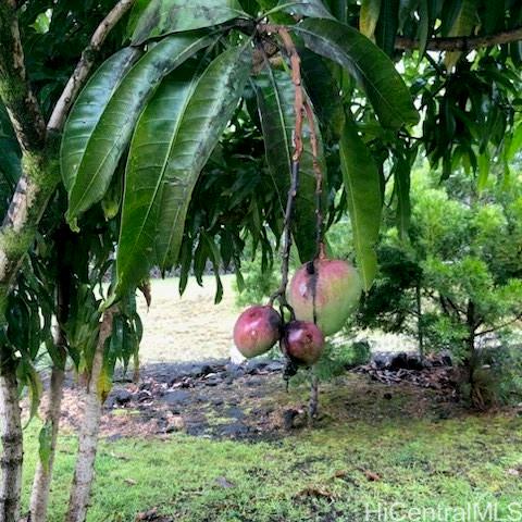 15-2811  Manalo St Hawaiian Shores, Puna home - photo 14 of 16
