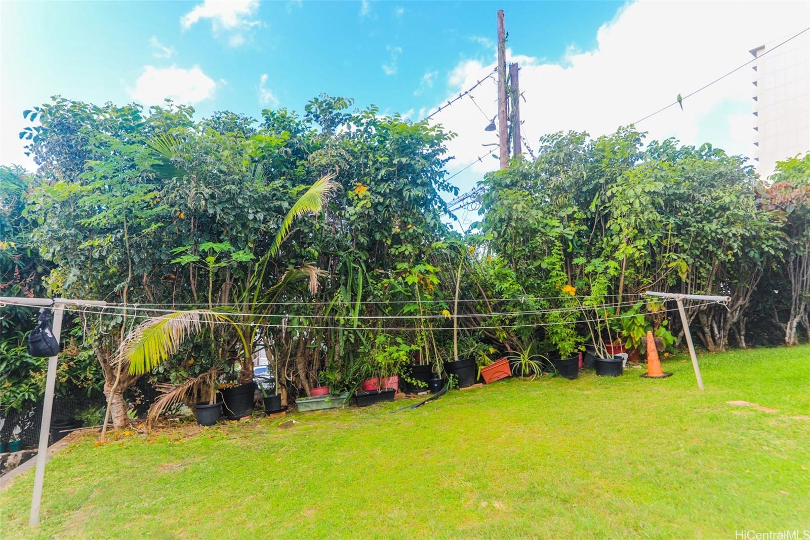 Carlton Place 1 condo # C/3, Honolulu, Hawaii - photo 22 of 25