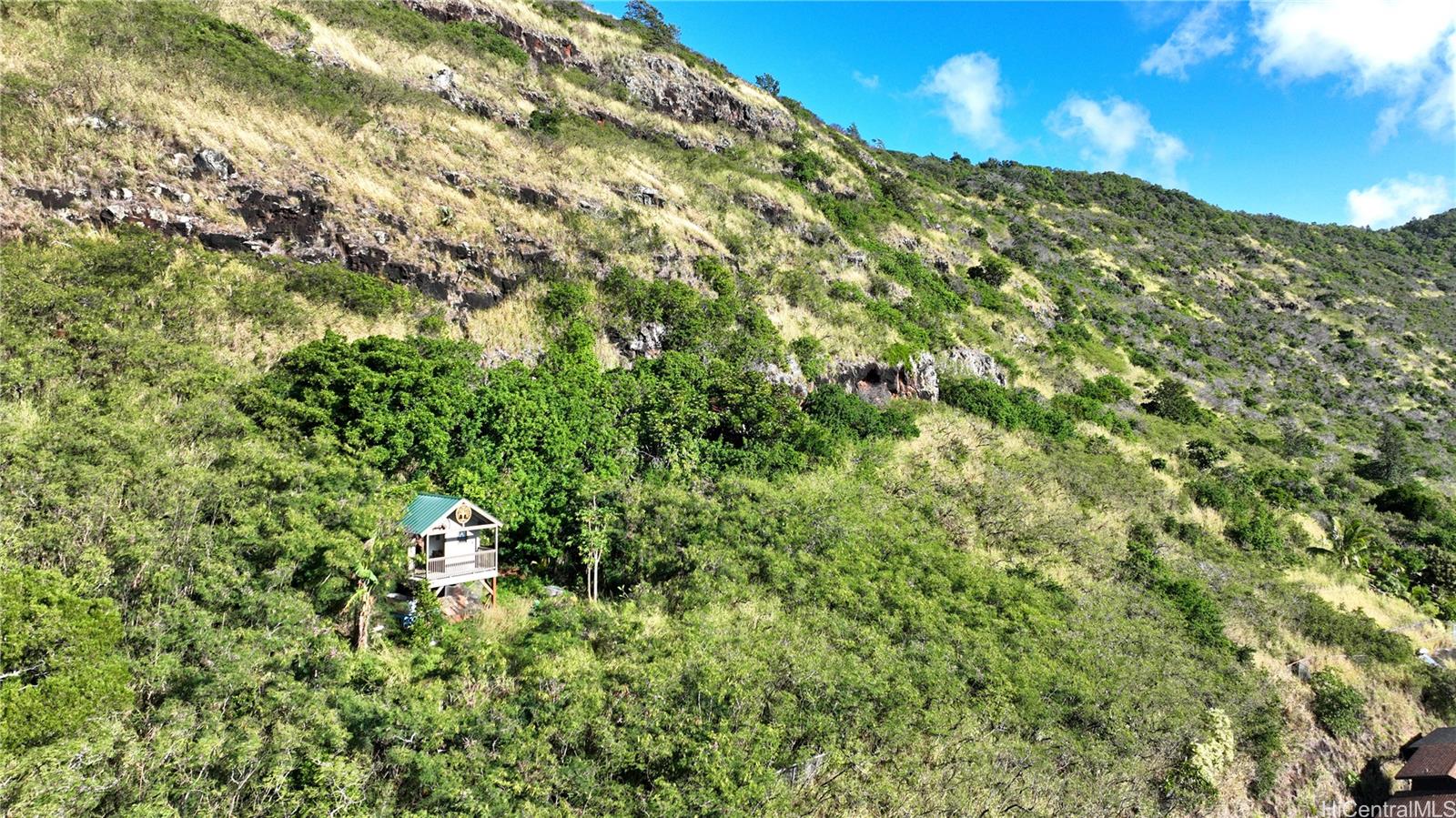 1580  Ala Lani Street Moanalua Valley, Honolulu home - photo 24 of 25