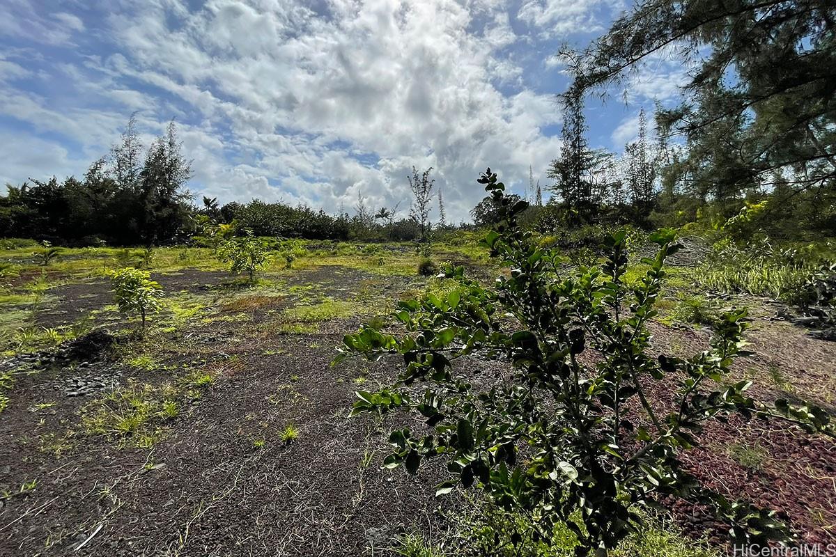 15-916 Paradise Ala Kai Drive  Keaau, Hi vacant land for sale - photo 15 of 18