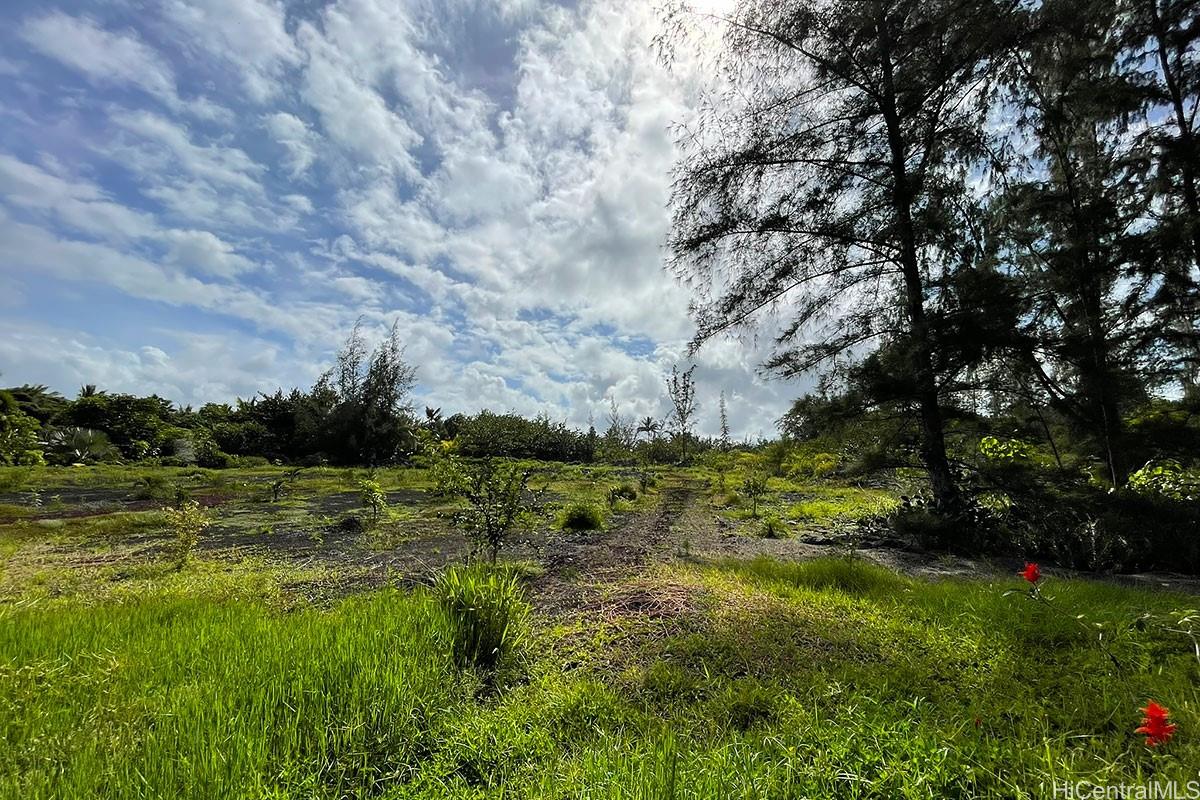 15-916 Paradise Ala Kai Drive  Keaau, Hi vacant land for sale - photo 16 of 18