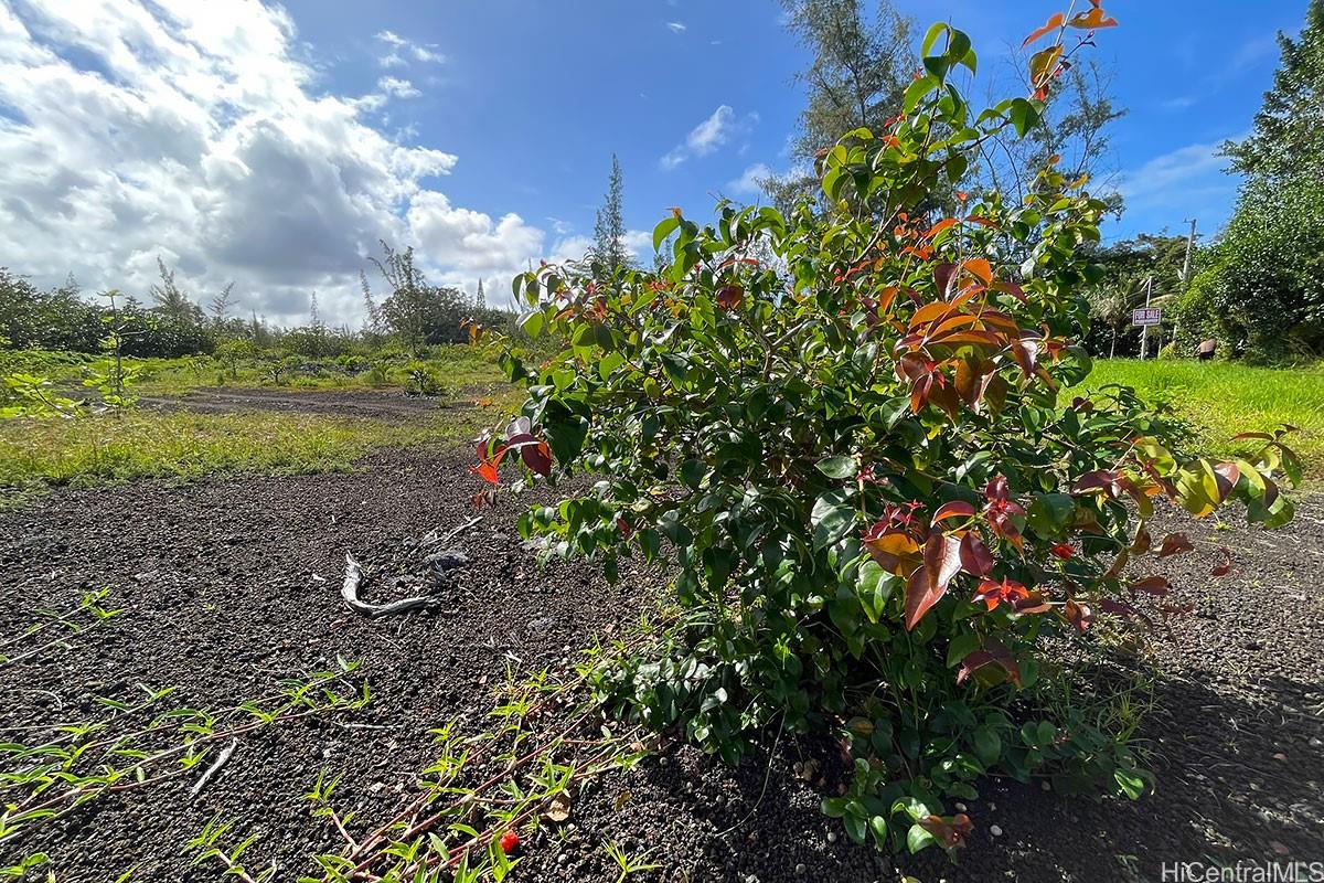 15-920 Paradise Ala Kai Drive  Keaau, Hi vacant land for sale - photo 15 of 23