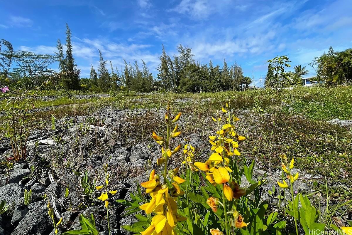 15-920 Paradise Ala Kai Drive  Keaau, Hi vacant land for sale - photo 19 of 23