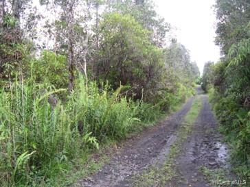 16-1065 Road 11 Road  Kurtistown, Hi vacant land for sale - photo 8 of 11