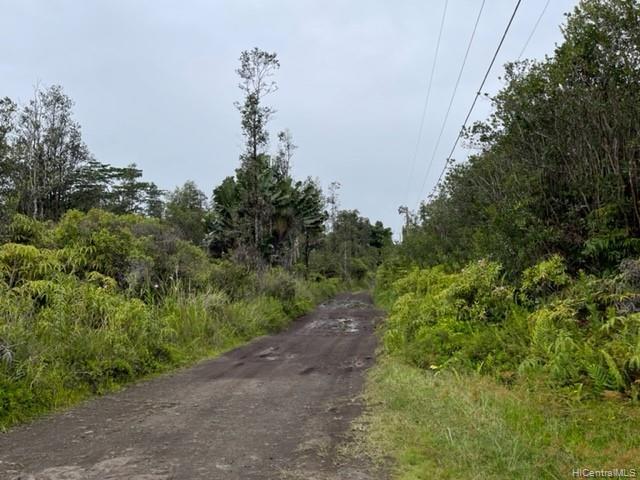 16-1387 Opeapea Road  Mountain View, Hi 96771 vacant land - photo 14 of 24