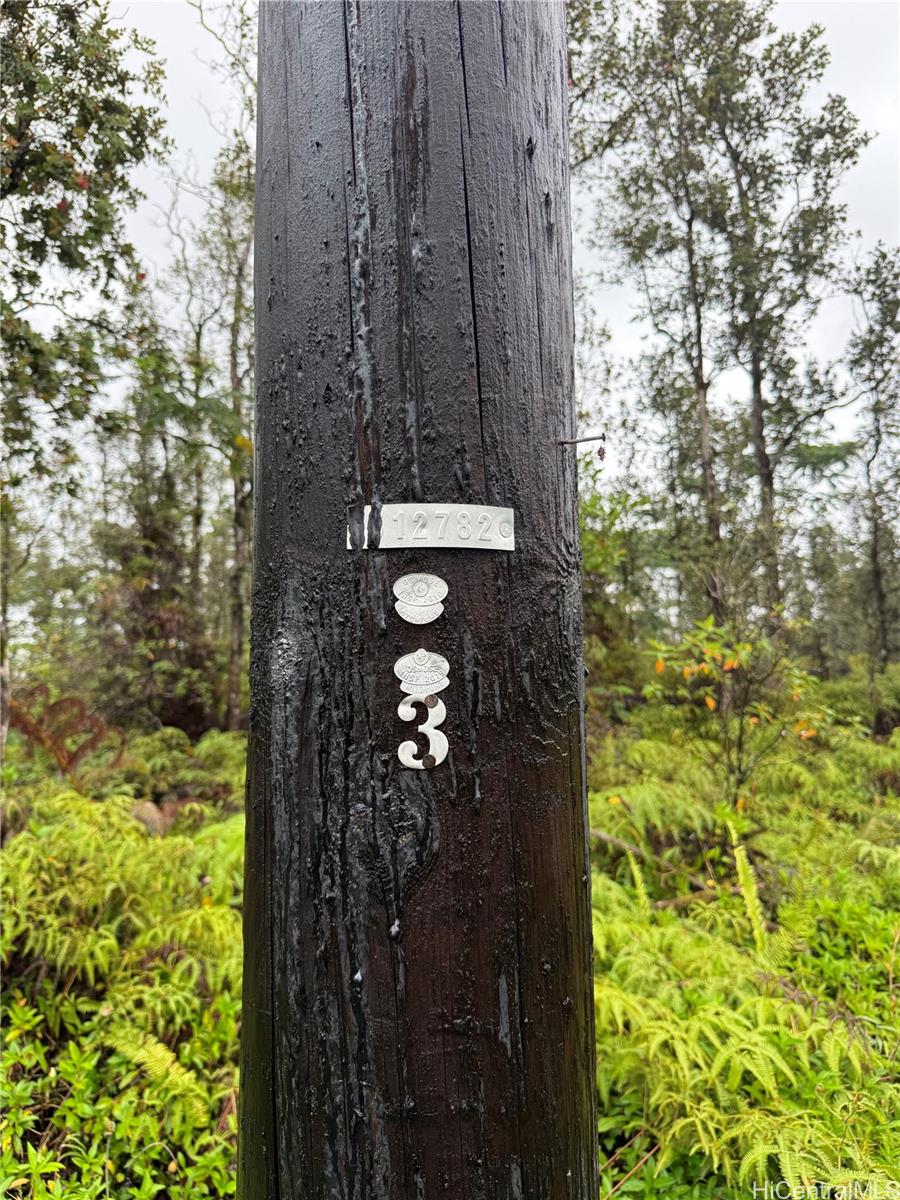 16-2045 Gardenia Dr  Pahoa, Hi vacant land for sale - photo 3 of 5