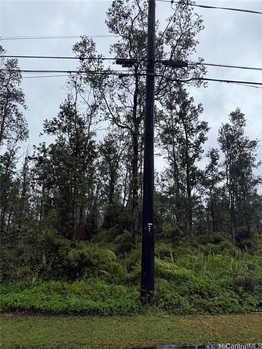 16-2045 Gardenia Dr  Pahoa, Hi vacant land for sale - photo 4 of 5
