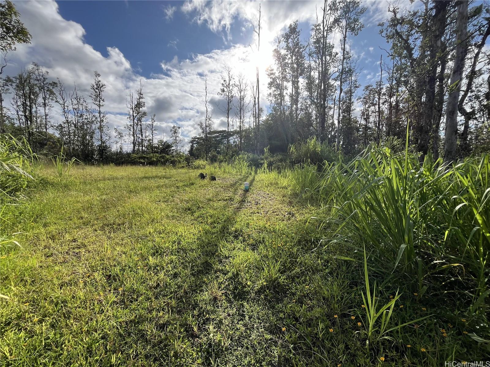 16-2142 Orchid Dr  Pahoa, Hi vacant land for sale - photo 4 of 8