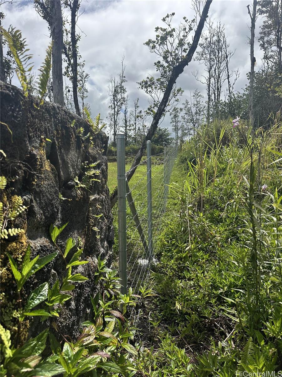 16-2142 Orchid Dr  Pahoa, Hi vacant land for sale - photo 12 of 14