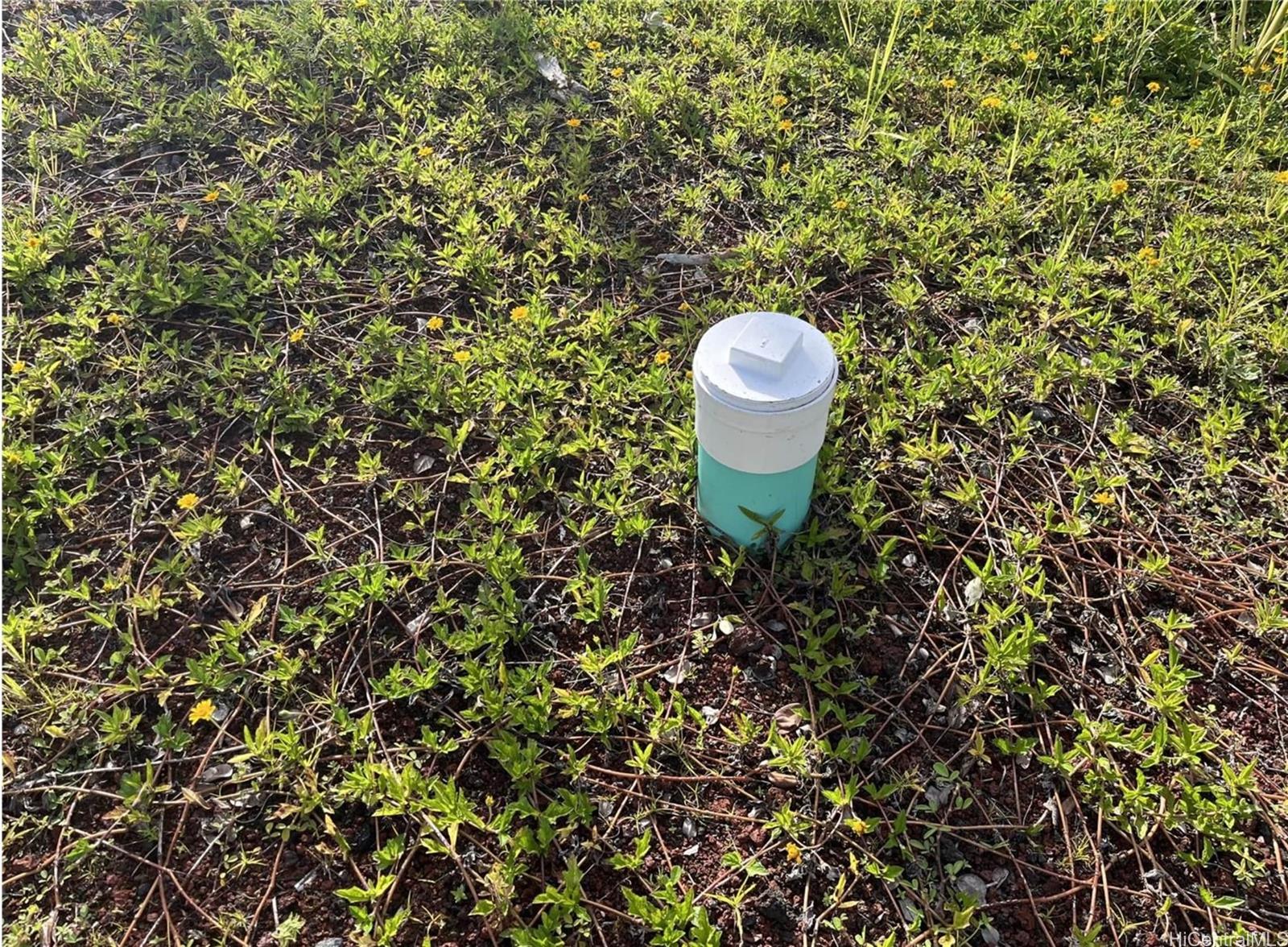 16-2142 Orchid Dr  Pahoa, Hi vacant land for sale - photo 8 of 14