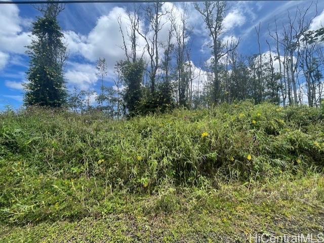 16-2143 Tradewind Dr  Pahoa, Hi vacant land for sale - photo 2 of 14