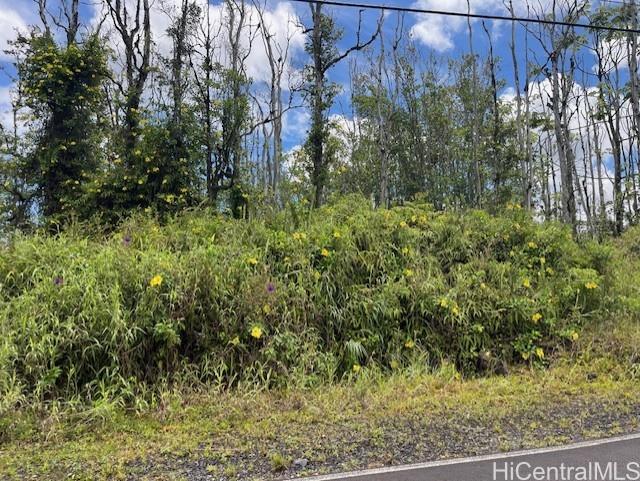 16-2143 Tradewind Dr  Pahoa, Hi vacant land for sale - photo 11 of 14