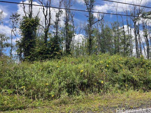 16-2143 Tradewind Dr  Pahoa, Hi vacant land for sale - photo 12 of 14