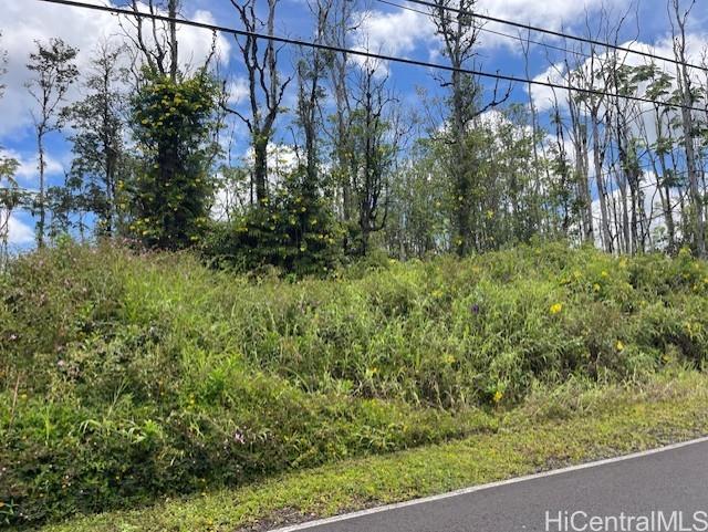 16-2143 Tradewind Dr  Pahoa, Hi vacant land for sale - photo 13 of 14