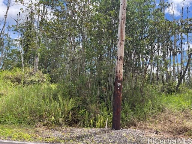 16-2143 Tradewind Dr  Pahoa, Hi vacant land for sale - photo 6 of 14