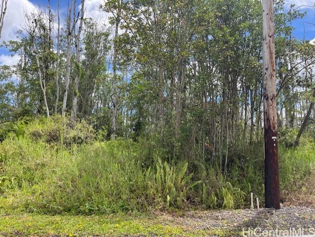 16-2143 Tradewind Dr  Pahoa, Hi vacant land for sale - photo 7 of 14