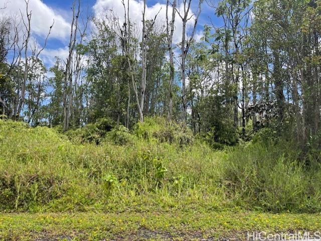 16-2143 Tradewind Dr  Pahoa, Hi vacant land for sale - photo 8 of 14