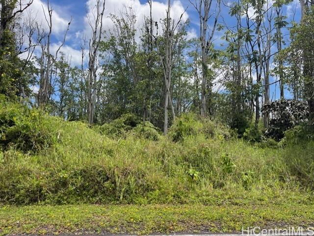16-2143 Tradewind Dr  Pahoa, Hi vacant land for sale - photo 9 of 14