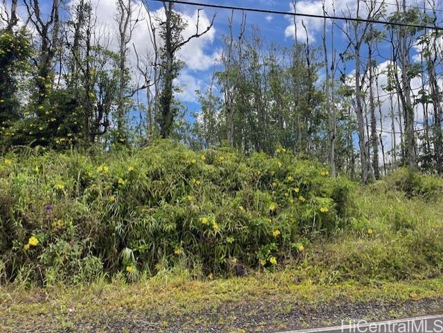 16-2143 Tradewind Dr  Pahoa, Hi vacant land for sale - photo 10 of 14