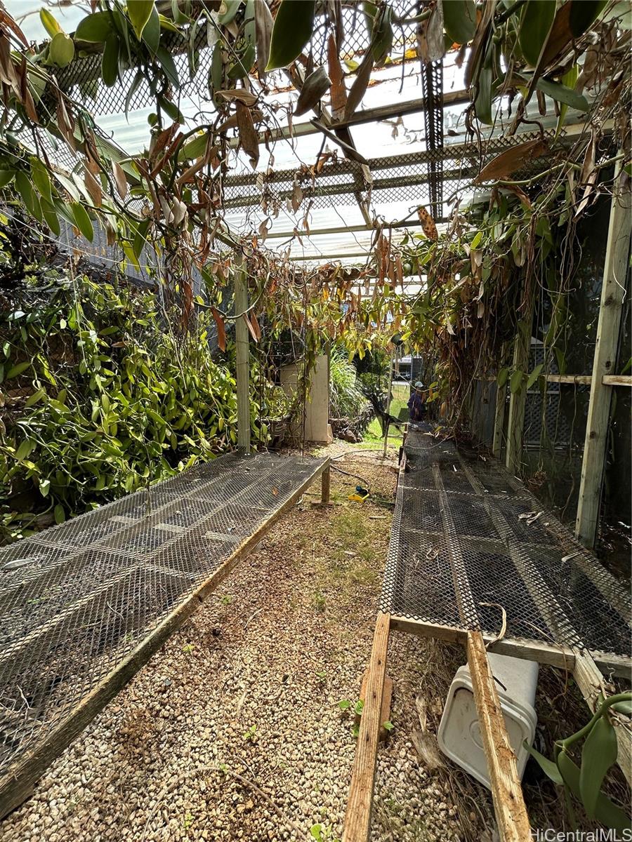 1628  Aupuni Street Kamehameha Heights, Honolulu home - photo 12 of 14