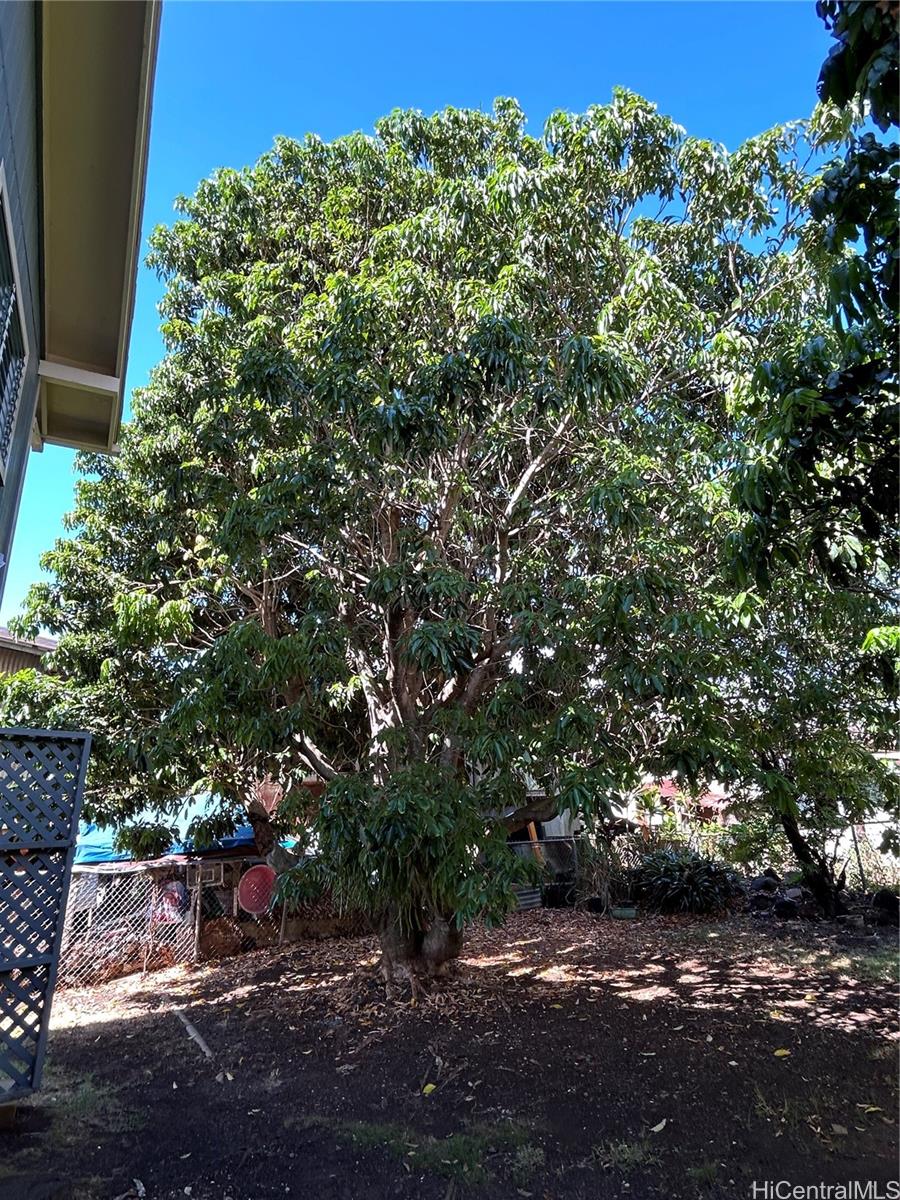 1628  Aupuni Street Kamehameha Heights, Honolulu home - photo 14 of 14