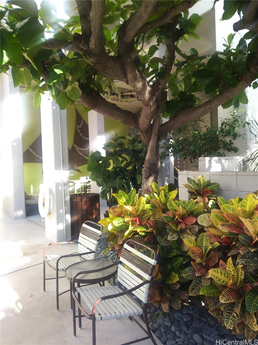 1645 Ala Wai Blvd Honolulu - Rental - photo 10 of 12
