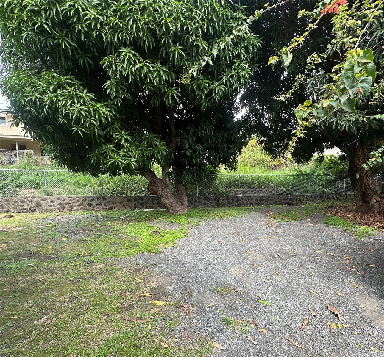 1670 Pensacola Street Honolulu - Rental - photo 4 of 23