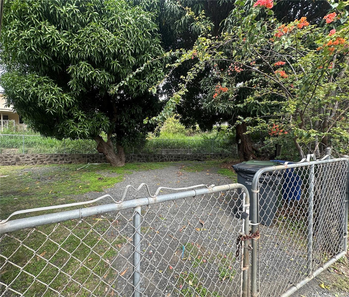 1670 Pensacola Street Honolulu - Rental - photo 5 of 23