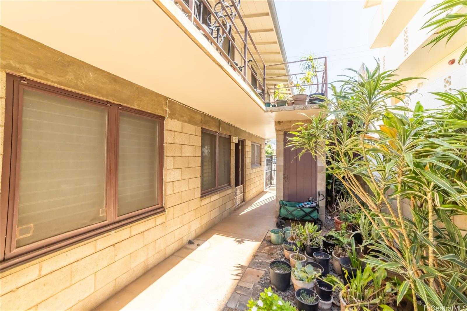 1671 Citron Street Honolulu - Multi-family - photo 6 of 25