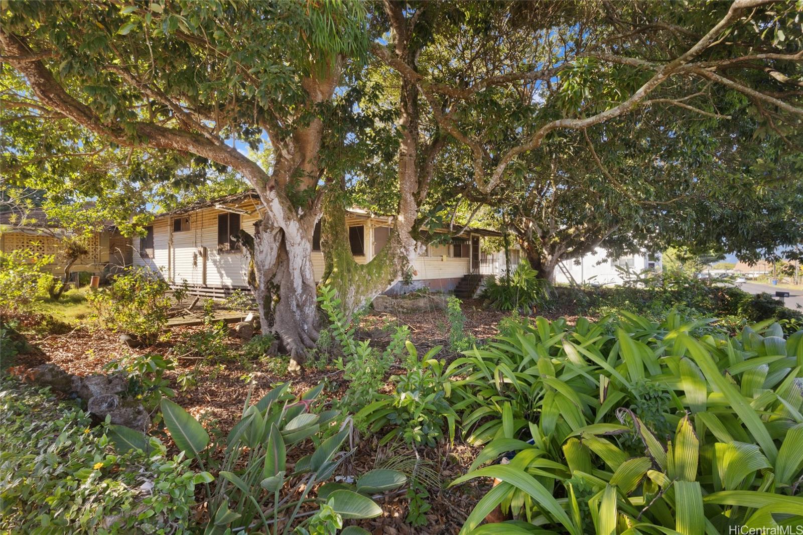 1691  California Ave Wahiawa Heights, Central home - photo 2 of 21
