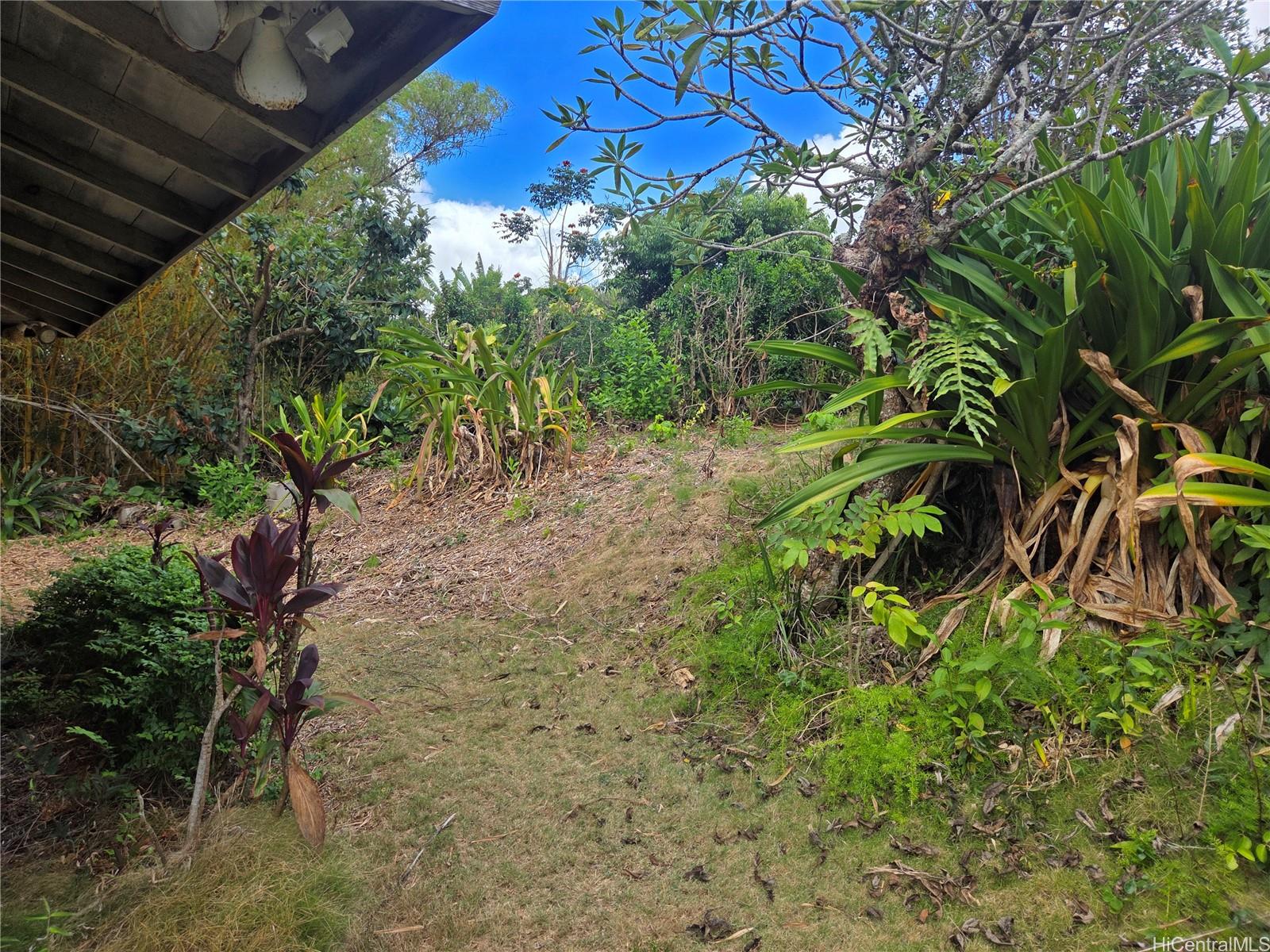 1732  Glen Ave Wahiawa Heights, Central home - photo 5 of 25