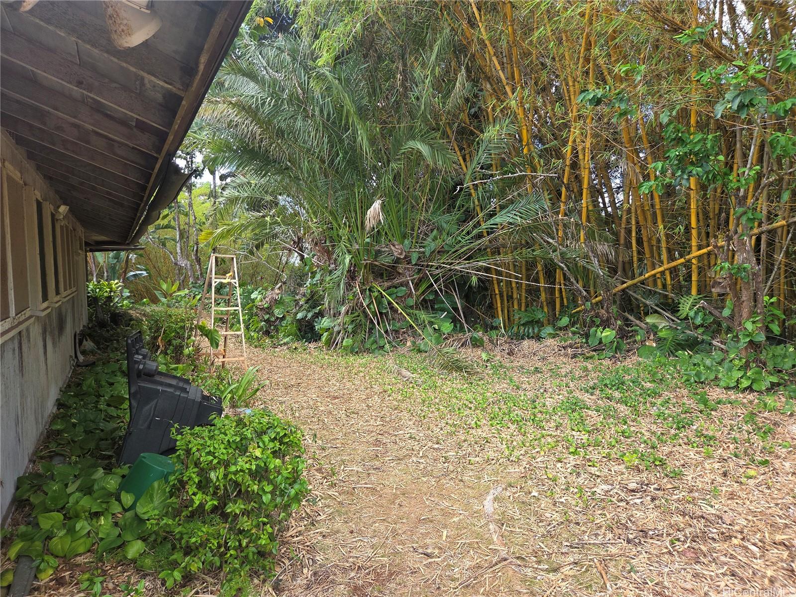 1732  Glen Ave Wahiawa Heights, Central home - photo 6 of 25