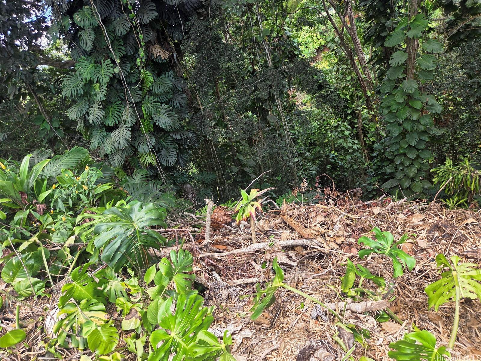 1732  Glen Ave Wahiawa Heights, Central home - photo 7 of 25