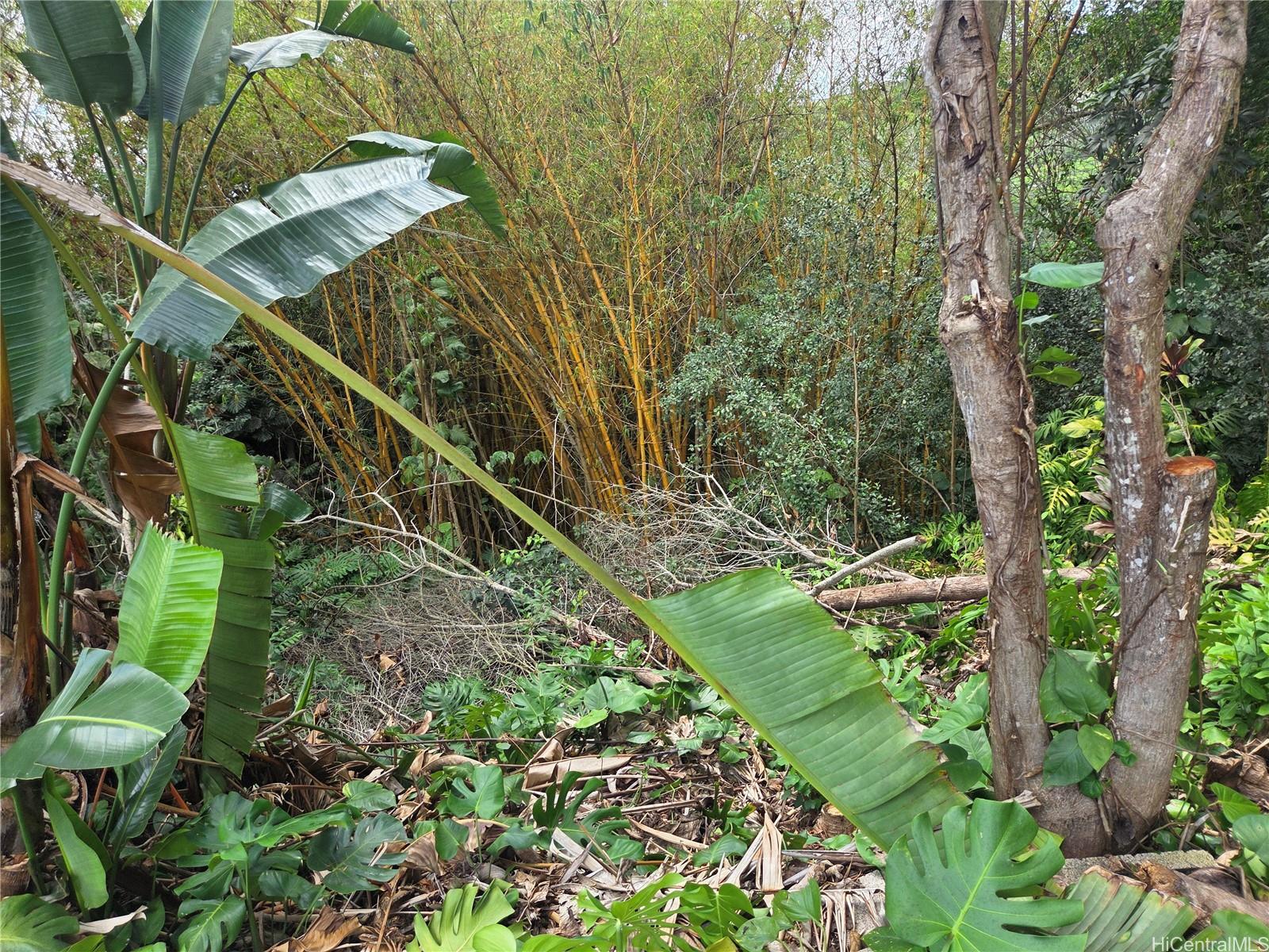 1732  Glen Ave Wahiawa Heights, Central home - photo 8 of 25