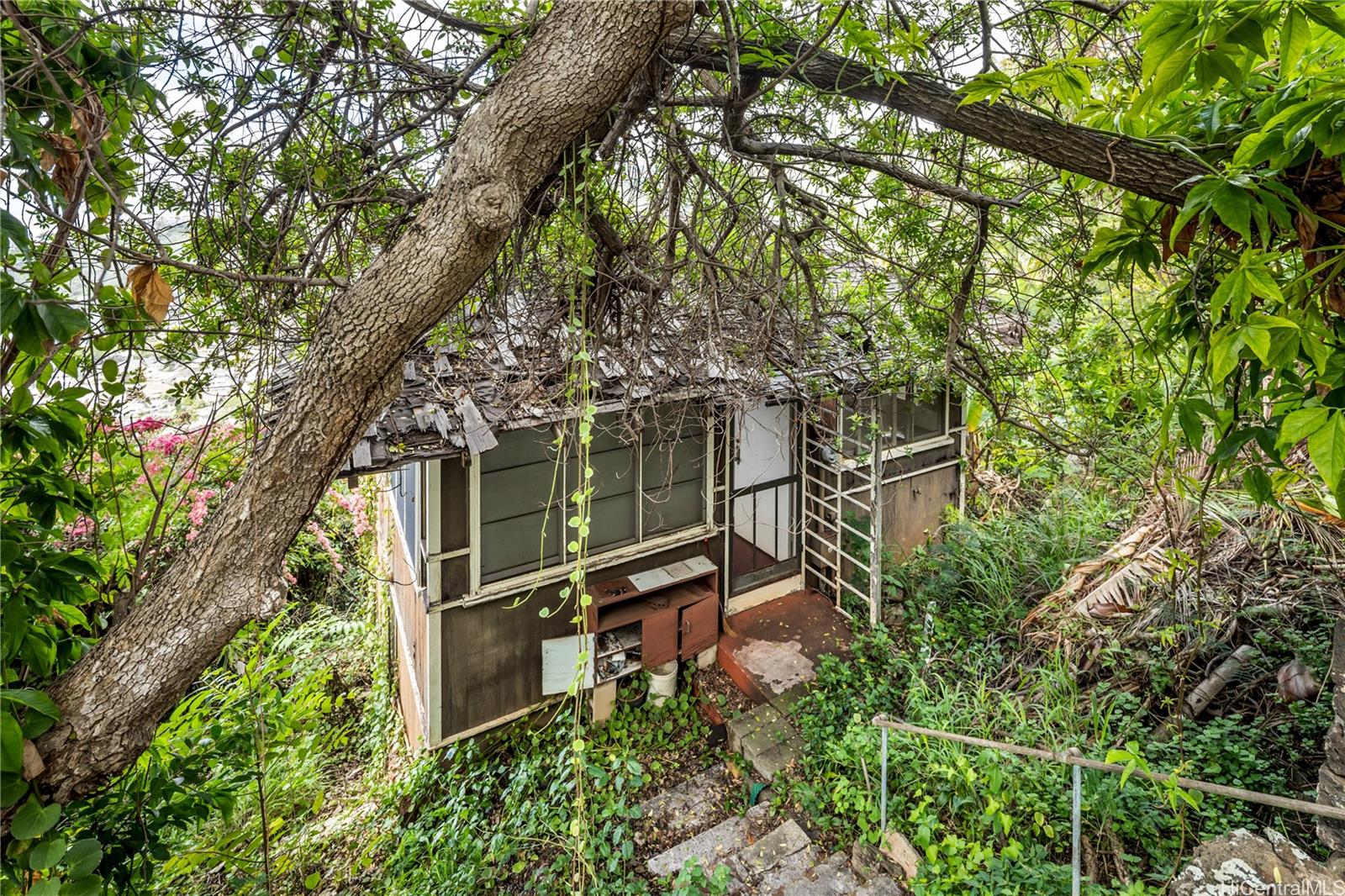 1732-A  Mikahala Way Wilhelmina, Diamond Head home - photo 23 of 25