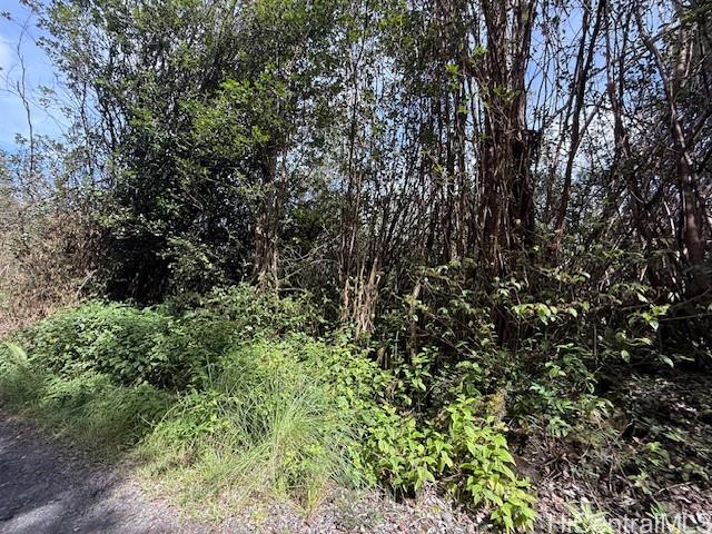 17-3352 Maunalani Road  Mountain View, Hi vacant land for sale - photo 2 of 9