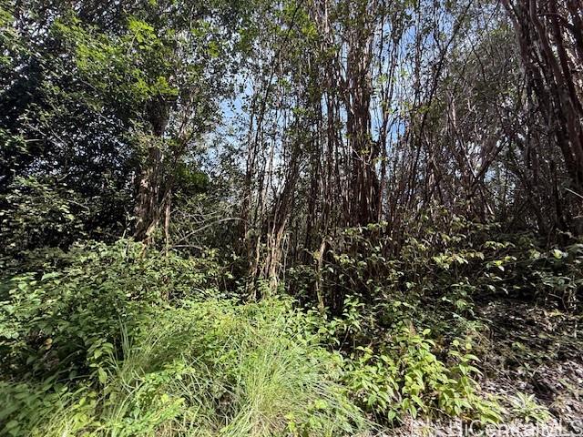 17-3352 Maunalani Road  Mountain View, Hi vacant land for sale - photo 3 of 9