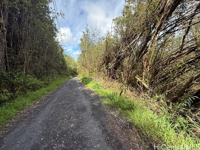 17-3352 Maunalani Road  Mountain View, Hi vacant land for sale - photo 4 of 9